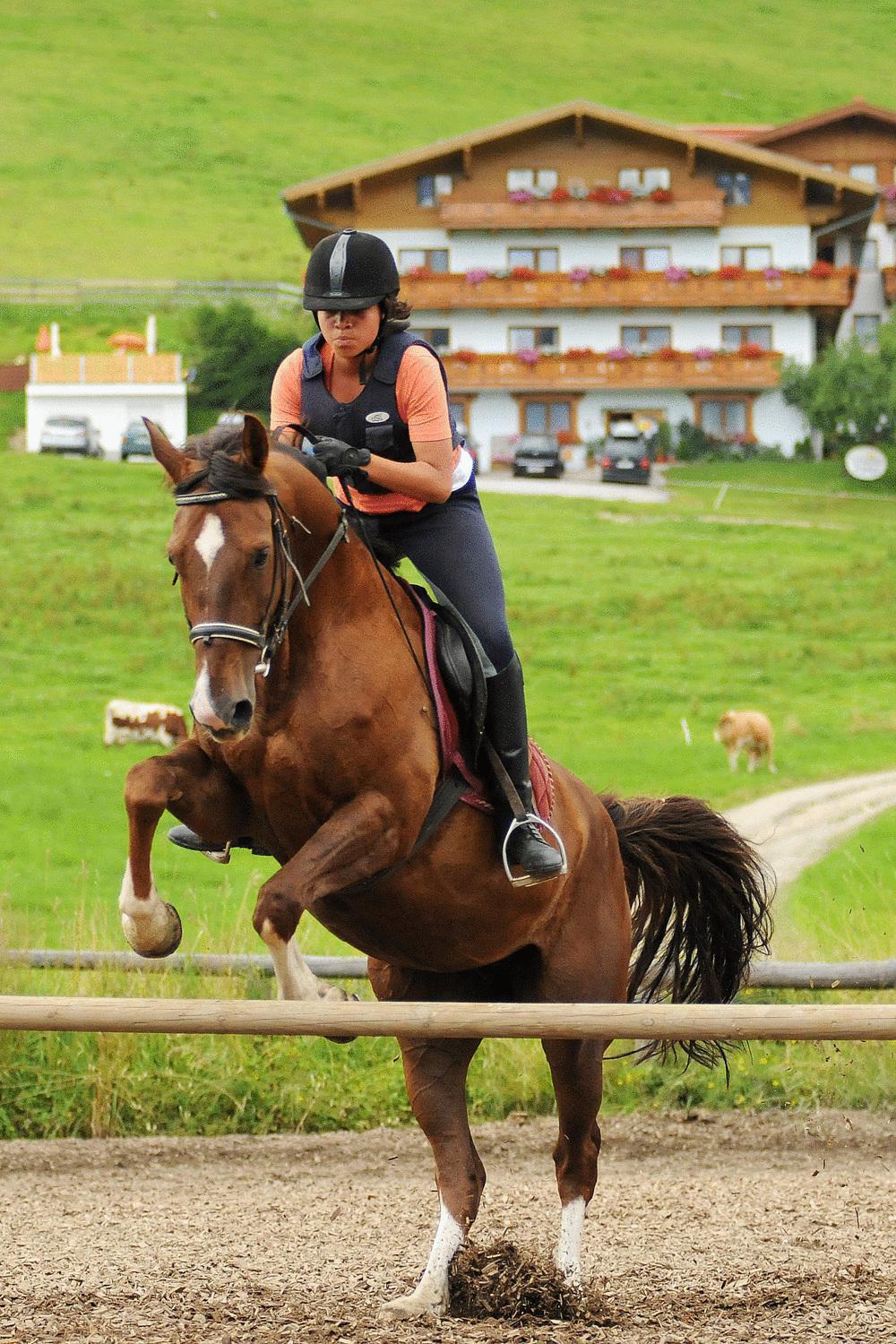 Alpin Apart Flachau Exterior foto